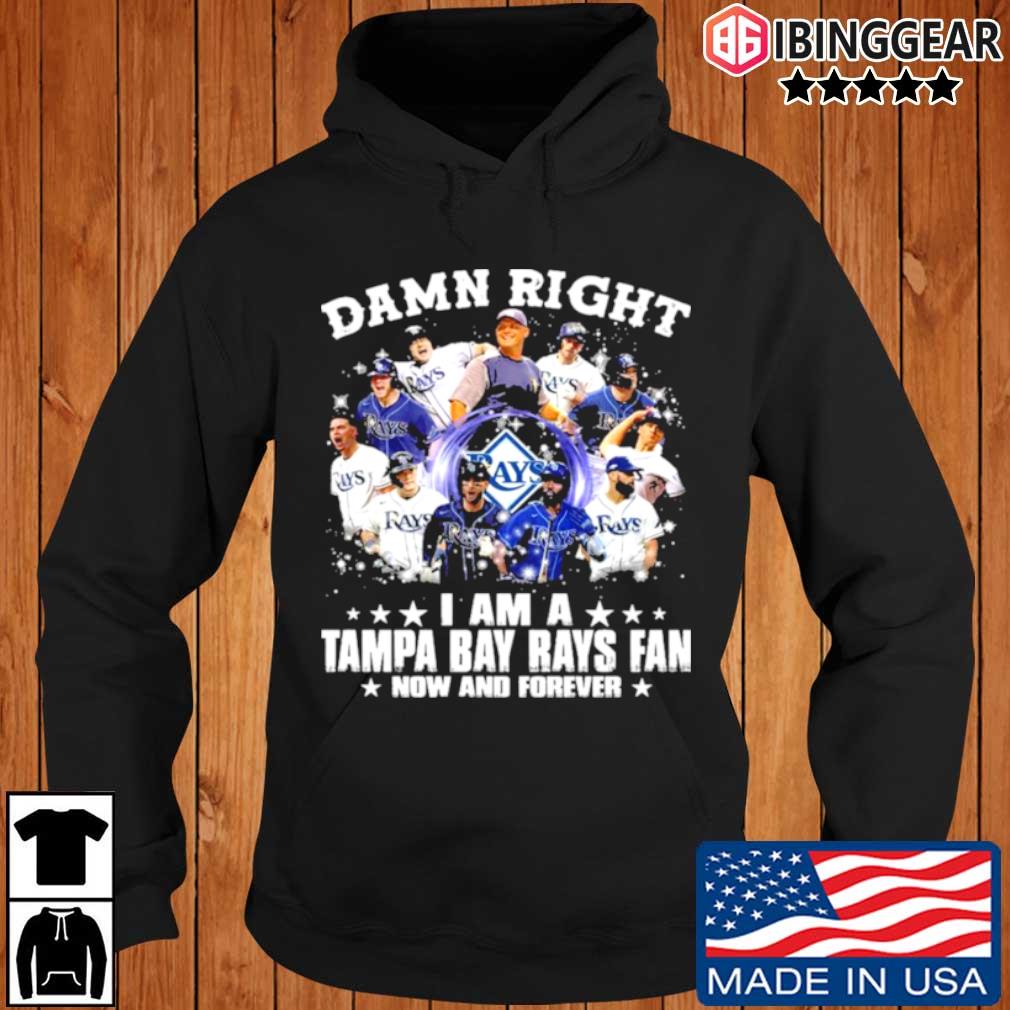 Damn right I am a Tampa Bay Rays fan now and forever Ibinggear hoodie den